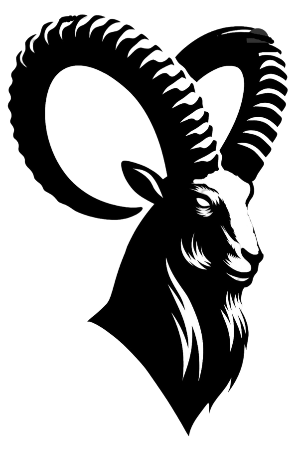 IBEX GAMERS
